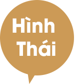Quy trình sản xuất 23 Hinh thai