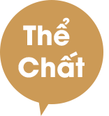 Quy trình sản xuất 25 the chat