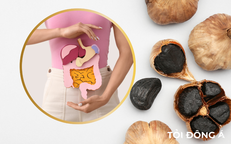Tỏi đen chữa bệnh gì? Khám phá 10 công dụng "thần kỳ" của tỏi đen 4 toi den chua benh gi 7