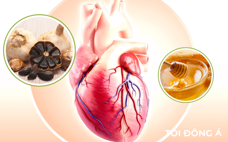 Tỏi đen chữa bệnh gì? Khám phá 10 công dụng "thần kỳ" của tỏi đen 3 toi den chua benh gi 8