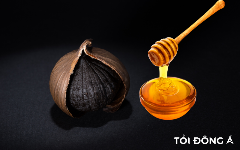7 Lợi ích tuyệt vời của tỏi đen ngâm mật ong cho người già 2 Tỏi đen mật ong rất tốt cho sức khỏe