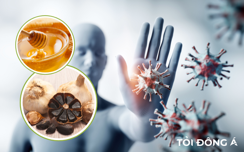 7 Lợi ích tuyệt vời của tỏi đen ngâm mật ong cho người già 3 Tỏi đen mật ong giúp tăng đề kháng hiệu quả
