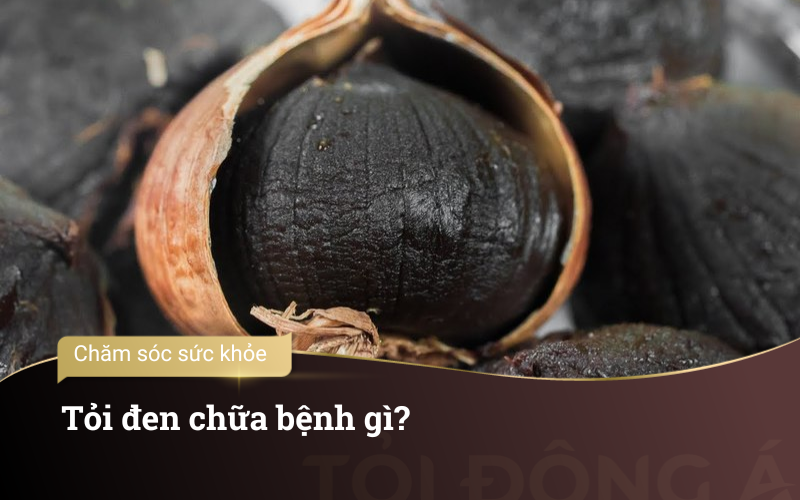 Toi den chua benh gi